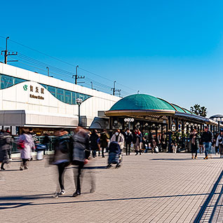 Maihama 写真