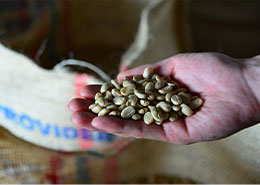 COFFEE BEANS